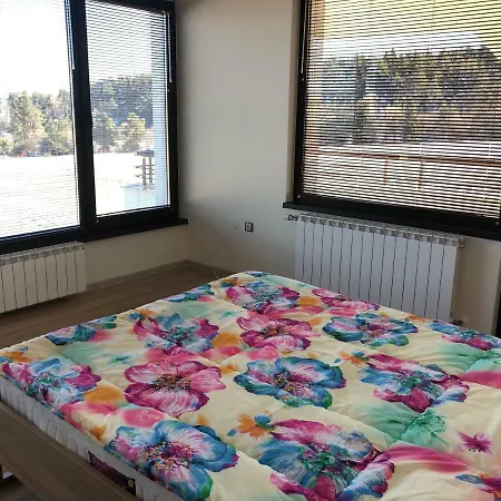 Relax تسيغوف تشارك