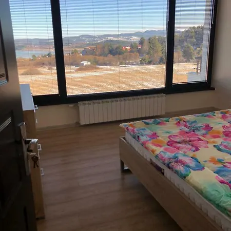 Relax فيلة تسيغوف تشارك