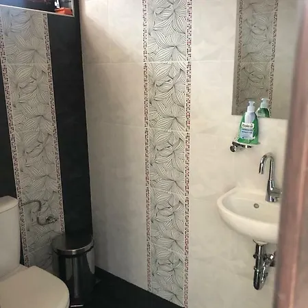 Relax فيلة تسيغوف تشارك